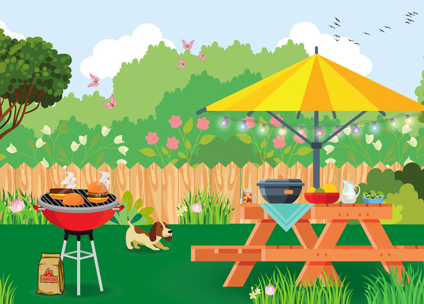 Barbecue and Picnic